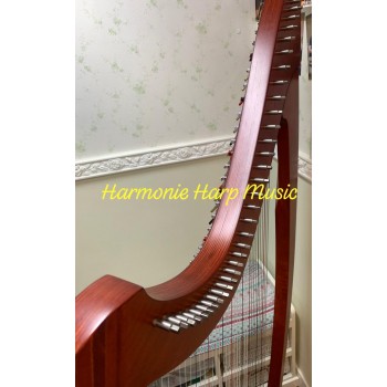 SOLD - 2nd Hand Salvi Titan 38 Strings Lever Harp